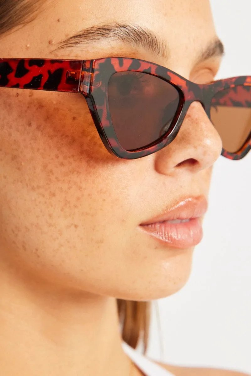 Brown Cat Eye Sunglasses